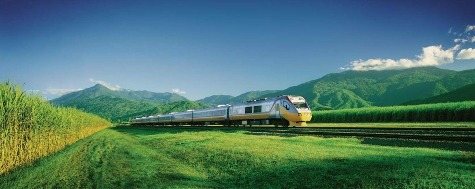 A train of Queensland Rail on the track